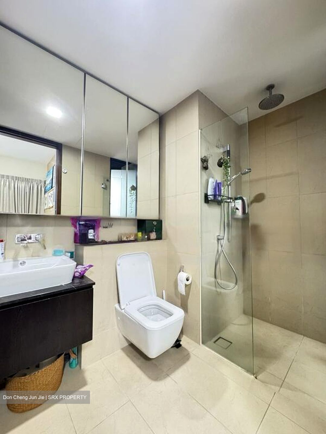 Spottiswoode Residences (D2), Condominium #555805071